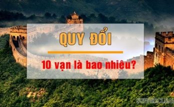 10-van-la-bao-nhieu