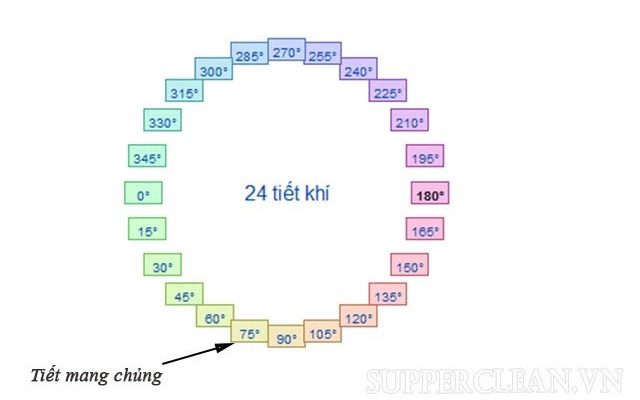 tiet-mang-chung-la-gi