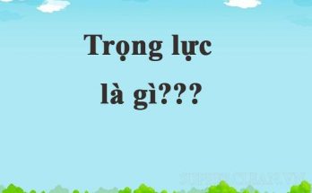 trong-luc-la-gi
