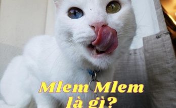 mlem mlem là gì