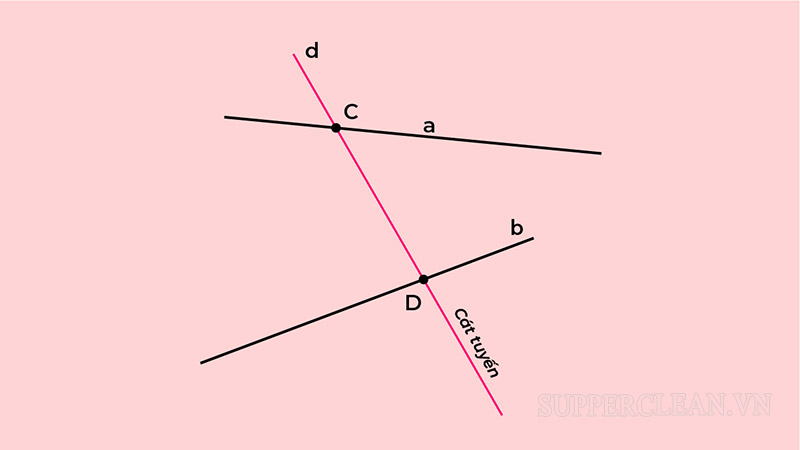 Cách vẽ cát tuyến của hai đường thẳng