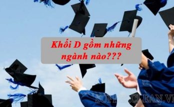 khối d gồm những ngành nào
