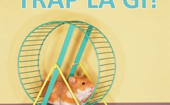 trap girl là như thế nào