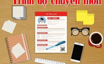 trình độ chuyên môn là gì