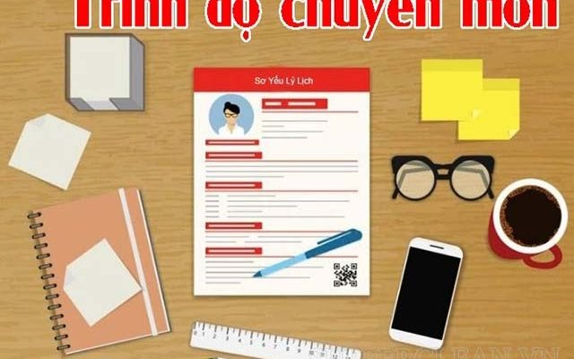 trình độ chuyên môn là gì