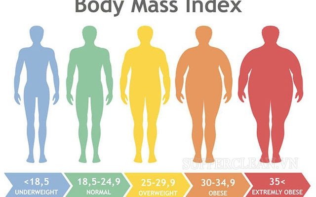 chỉ số bmi