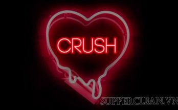 crush nghĩa là gì
