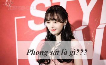 phong sát là gì