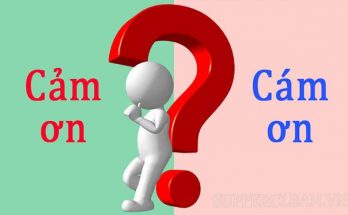 cám ơn hay cảm ơn