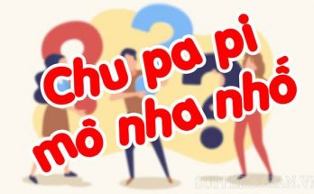 chu pa pi nha nhố nghĩa là gì