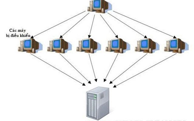 máy tính bị nhiễm mã độc và bị lợi dụng phục vụ các đợt tấn công ddos gọi là gì?