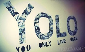 yolo là gì