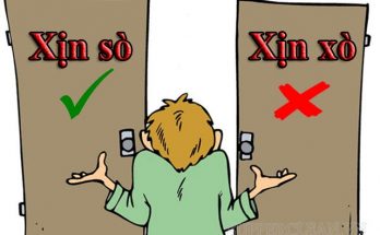 xịn sò hay xịn xò