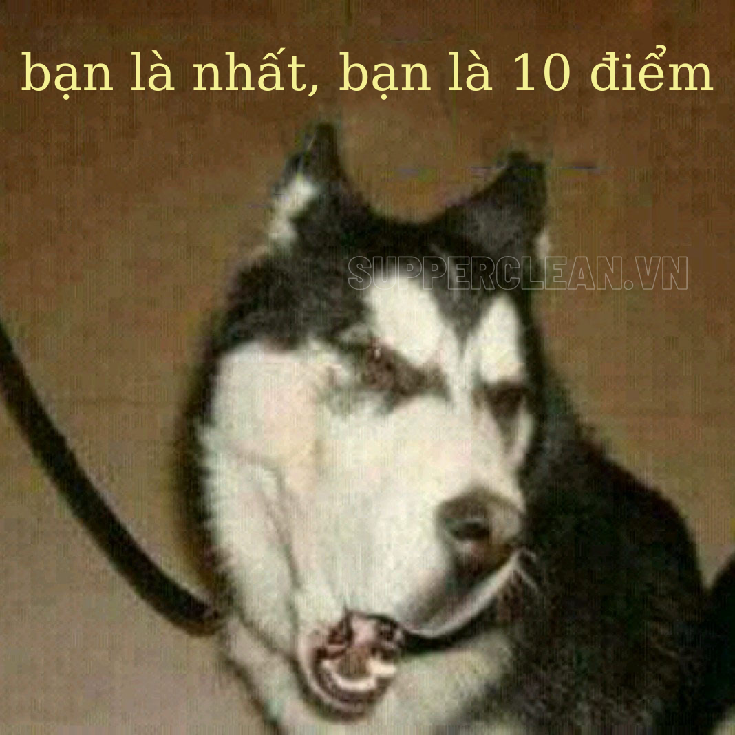 bạn là nhất, bạn là 10 điểm