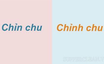 chỉn chu hay chỉnh chu