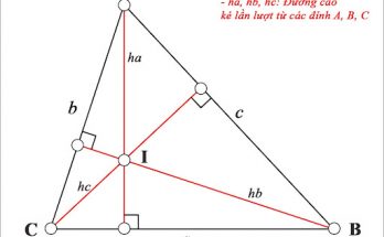 đường cao là gì
