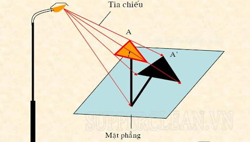 hình chiếu trong thực tế