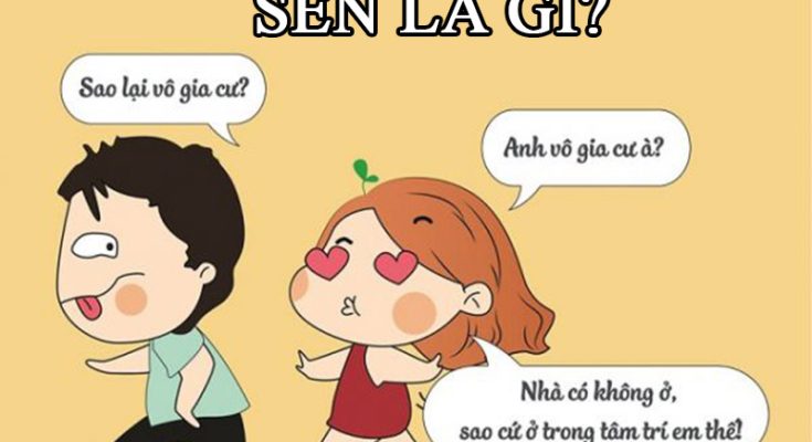 Ý nghĩa của từ “sến”