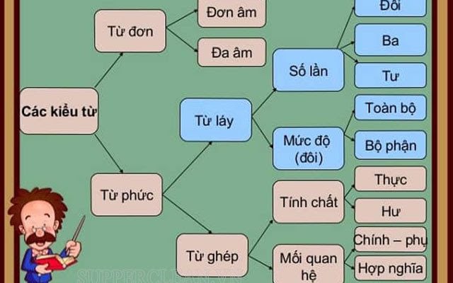các loại từ