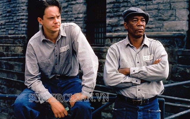 top phim chiếu rạp hay nhất mọi thời đại