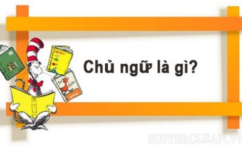 chủ ngữ là gì