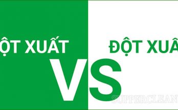 đột xuất hay đột suất