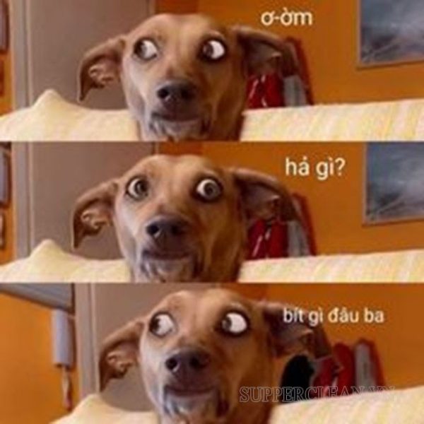 Hả Gì Ai Biết đâu? Nguồn Gốc - Độ Hot Của Meme Hả Ai Biết Gì đâu
