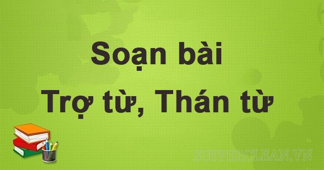 Trợ từ là gì? Các loại trợ từ. Phân biệt trợ từ và thán từ