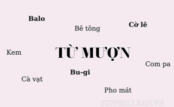 từ mượn là gì
