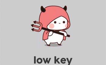 low key là gì