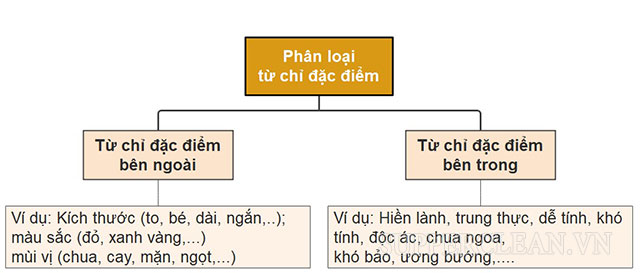 từ chỉ đặc điểm là gì