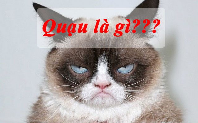 quạu là gì