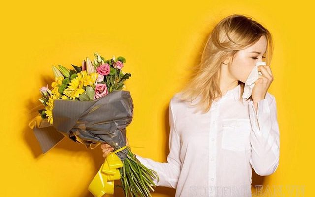 hắt xì hơi theo giờ