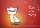Sinh năm 2023 là năm con Mèo