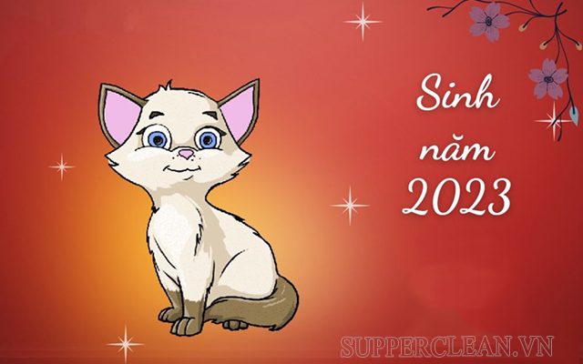 Sinh năm 2023 là năm con Mèo