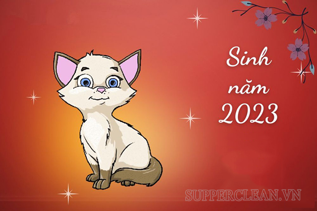 Sinh năm 2023 là năm con Mèo