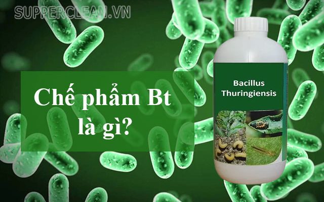 Chế phẩm Bt là gì