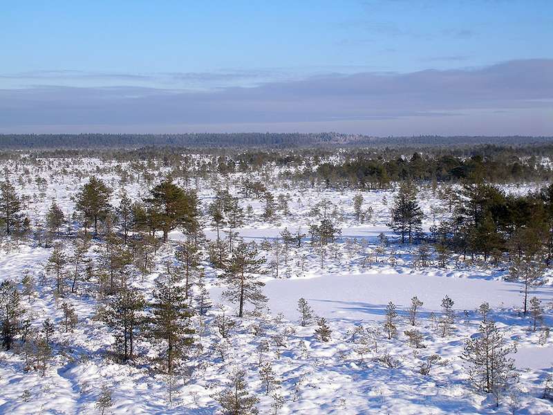 Khu bảo tồn Põhja-Kõrvemaa