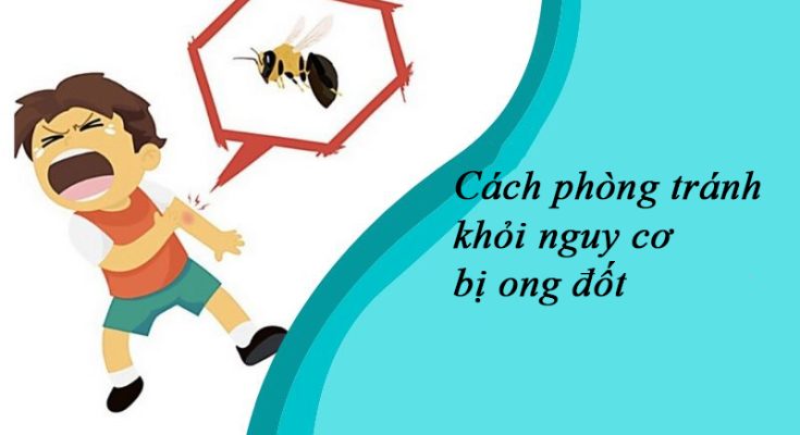 Các cách phòng tránh khỏi nguy cơ bị ong đốt