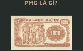 PMG là gì trong tiền tệ? 