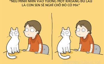 Con Sen - Cụm từ dùng để chỉ chủ nhân của các thú cưng