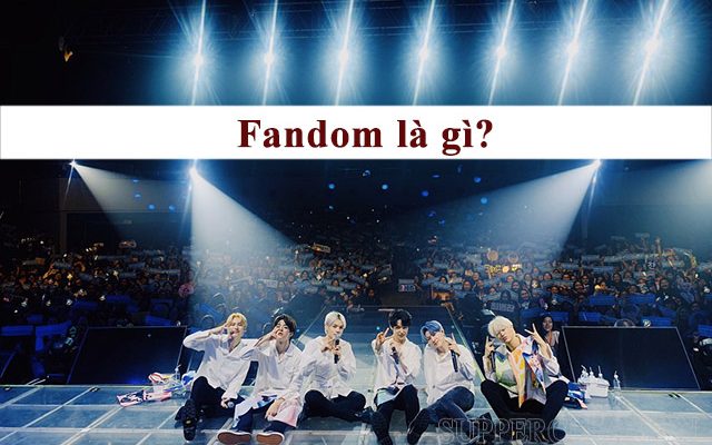 Fandom - những người cùng hâm mộ một thần tượng