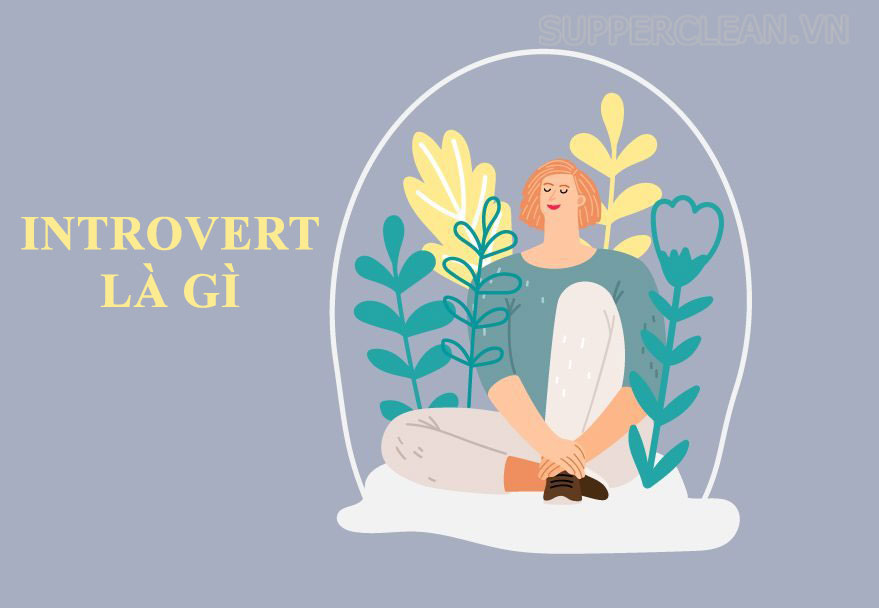 Introvert là gì