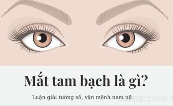 Khái niệm về mắt lộ tam bạch