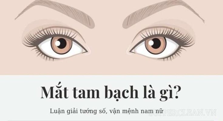 Khái niệm về mắt lộ tam bạch