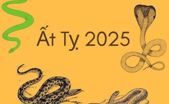 Năm 2025 là năm con rắn