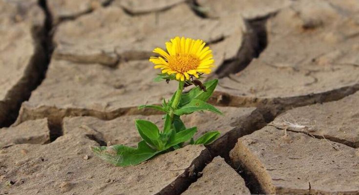 Nghị lực là động lực, sức mạnh giúp ta vượt qua nghịch cảnh và rào cản của bản thân