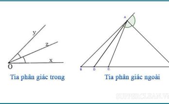 Hình ảnh tia phân giác ngoài và tia phân giác bên trong 