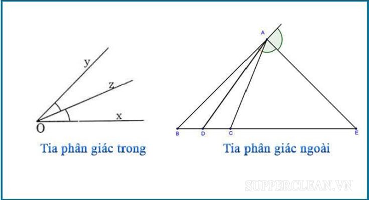 Hình ảnh tia phân giác ngoài và tia phân giác bên trong 