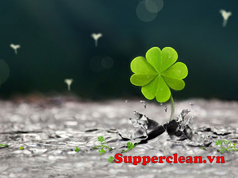 Câu nói hay về sự hoan hỉ